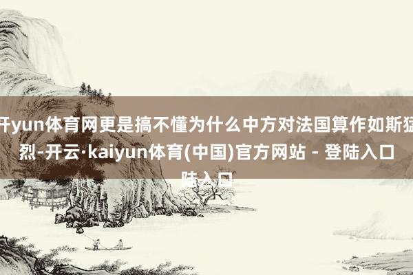 开yun体育网更是搞不懂为什么中方对法国算作如斯猛烈-开云·kaiyun体育(中国)官方网站 - 登陆入口
